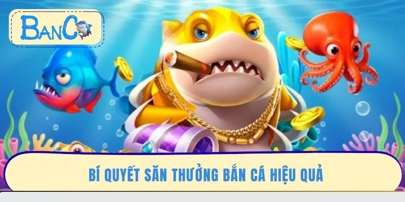 bi-quyet-san-thuong-ban-ca-hieu-qua