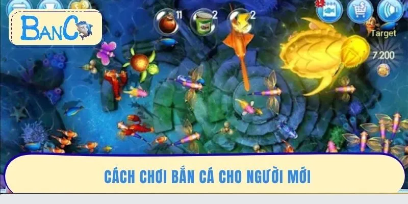 cach-choi-ban-ca-cho-nguoi-moi