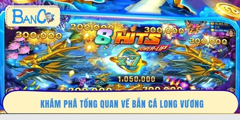 kham-pha-tong-quan-ve-ban-ca-long-vuong