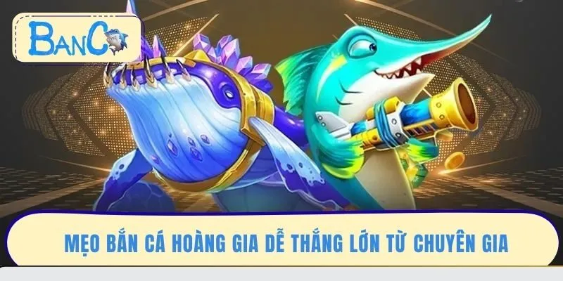 meo-ban-ca-hoang-gia-de-thang-lon-tu-chuyen-gia