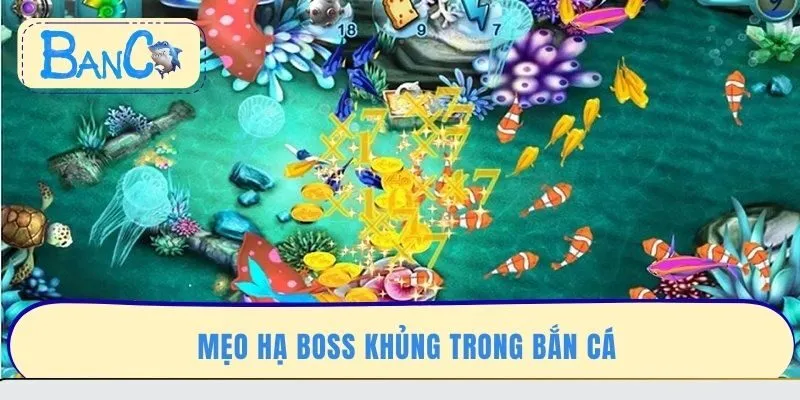 meo-ha-boss-khung-trong-ban-ca